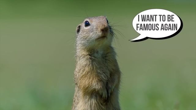 Internet vs Web as Fast As Possible