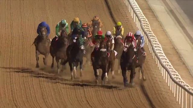 Salute The Soldier stays on course for DWC I Racing At Meydan I Race 6 I Al Maktoum Challenge G1