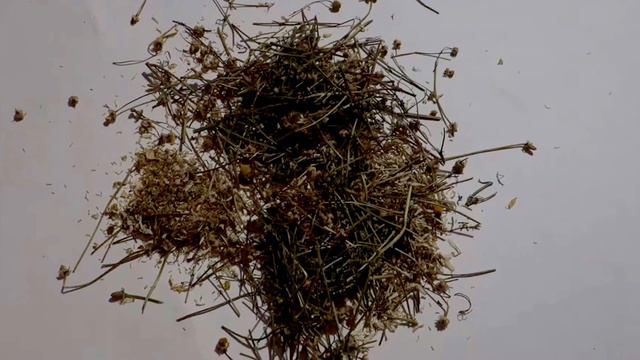 Ромашка  аптечная . Фитотерапия .