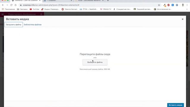 OceanWP Делаю сайт пиццерии в реальном времени бесплатно