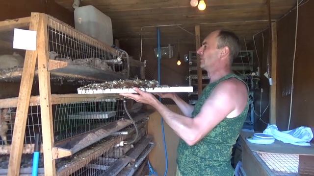 Проводим уборку в птичнике. О поддонах и о помете.
