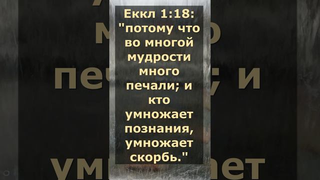 Еккл 1 18