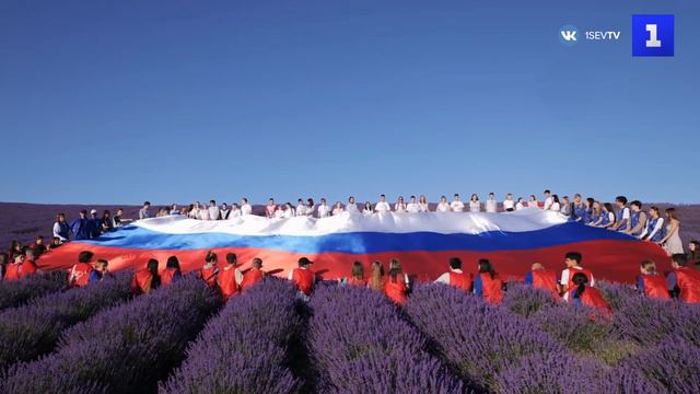 Крымская молодежь развернула большой флаг России на лавандовом поле