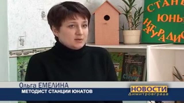 Попугай отказывается высиживать яйца (от Три сосны)