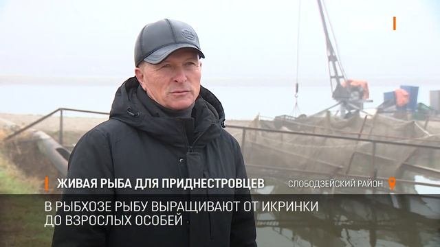 Живая рыба для приднестровцев