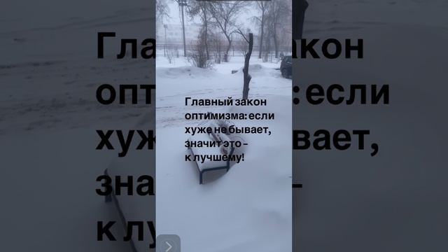 Оптимизм