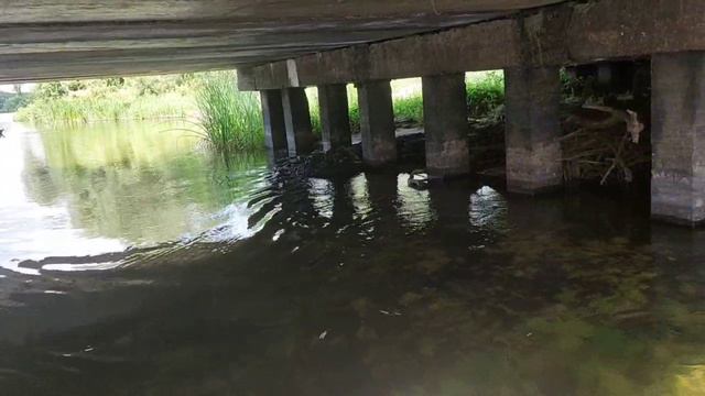 17.08.23г. река Ворона. Низкий автомобильный мост у Большие Алабух