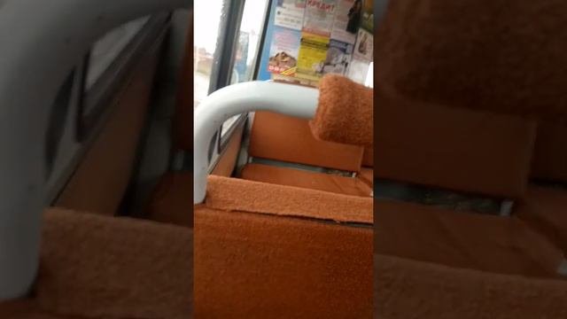 Академгородок в городе Томск