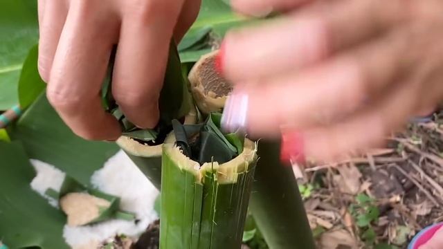 Lisa's Daily Life: Rice in bamboo tube - A dish of the mountains