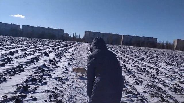 ФЕВРАЛЬ. ПРОГУЛКА. БЛИНЧИКИ С ТВОРОГОМИЗЮМОМ И БАНАНАМИ.