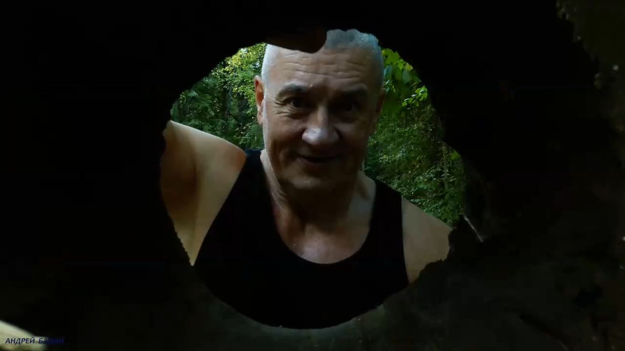 БРЕВНА 