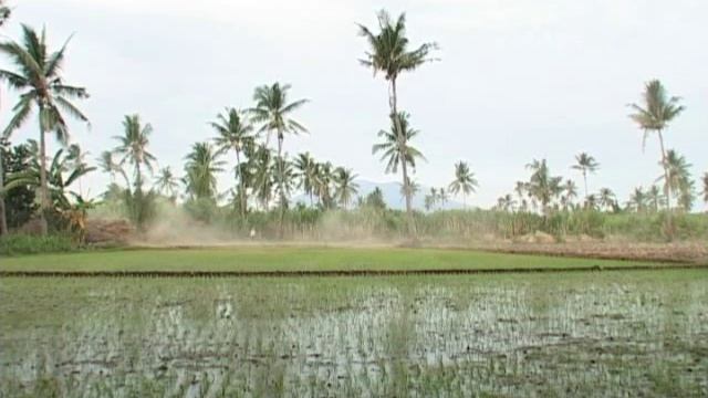 Asembagus Sugar Mill East Java Indonesia