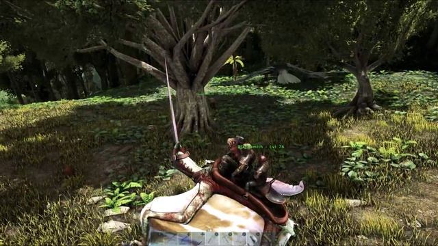 GIVING THE ANKY THE BOOT