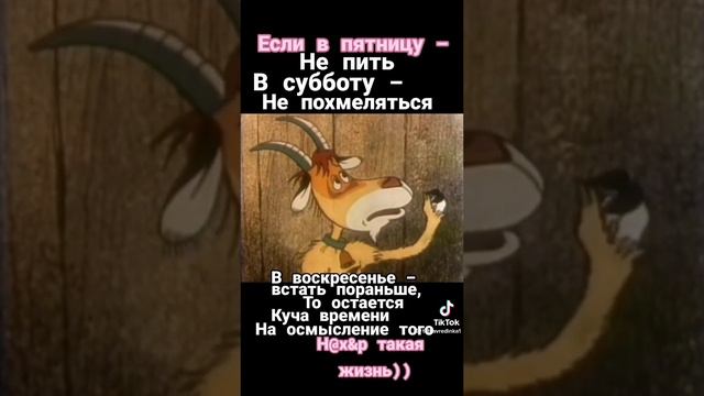 Нахер такая жизнь?