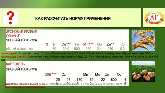 Экономичные и экологичные технологии выращивания основных сельхоз культур в Московской области