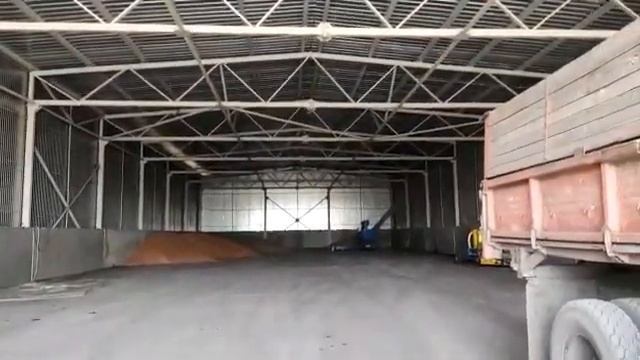 Посевная озимой пшеницы 2021.Закупаем семена озимой пшеницы.