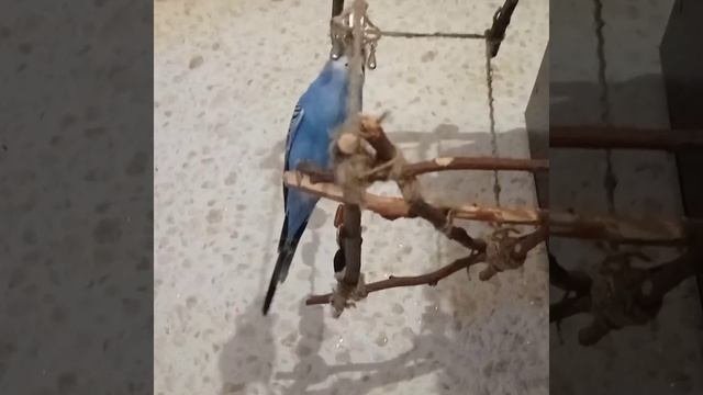 ты мальчик