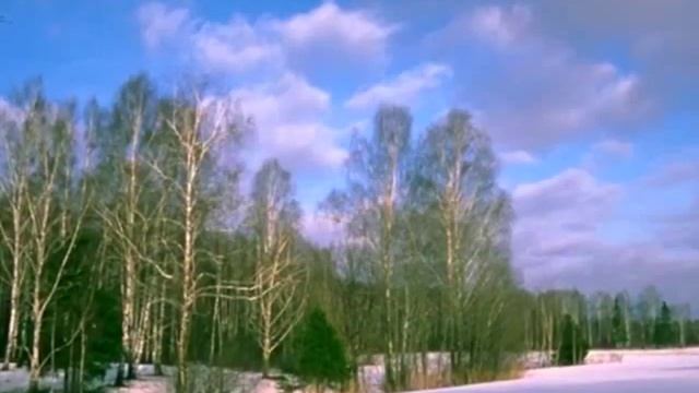 Метелица фрагмент