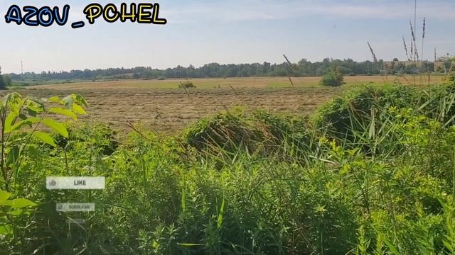 А ви казали, немає різниці... #пчеловодствов6тирамочныхульях
