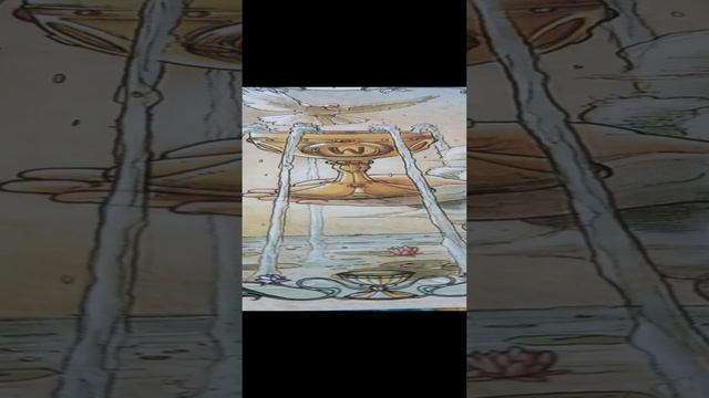 Послание высших сил на сегодня #shorts #show #tarot #tarofortune #гадание #ответы #подсказкаангелов