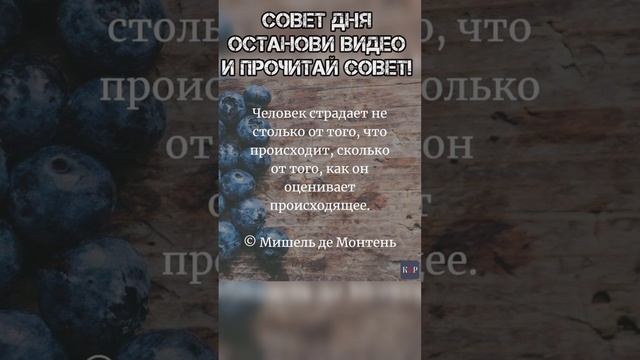 Совет дня! #shorts ? #таролог #совет #советдня #short #гадание #tarot  Личный расклад 89648778313