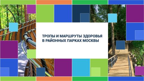 Где в Москве: Тропы и маршруты здоровья в районных парках