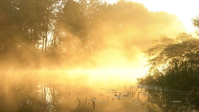 Beautiful Relaxing Guitar Music Instrumentals to Help You Relax