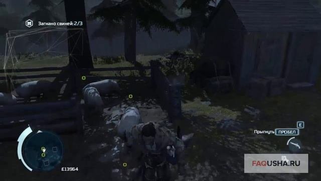 Assassin's Creed 3: загнать свиней в загон (задание 