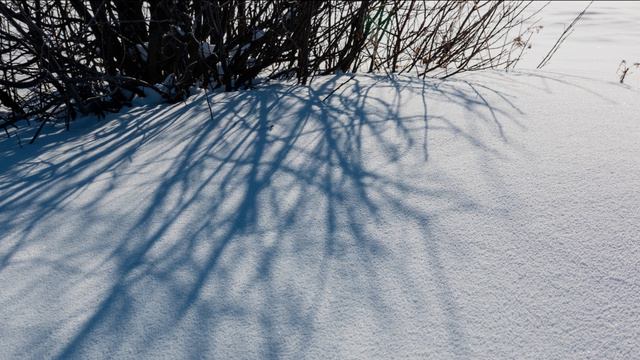 4K Snow Aer 100Mbps