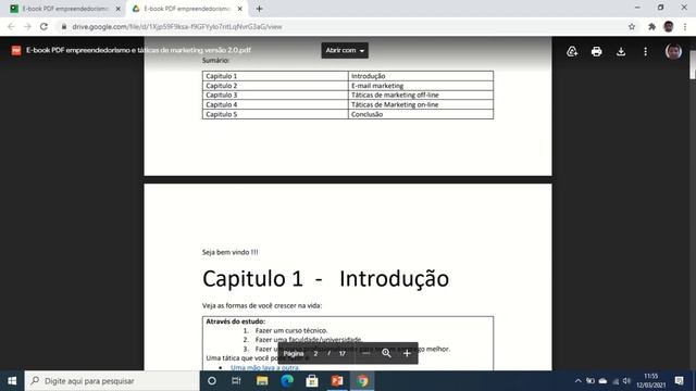 E-book PDF empreendedorismo e taticas de marketing versão 2.0