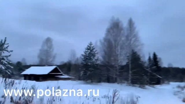 Прогулки на снегоходах в Пермском крае