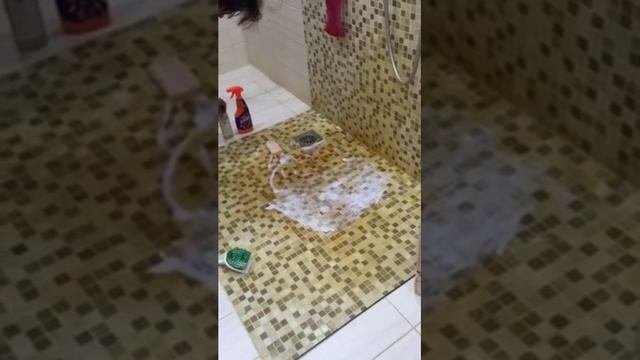 Эффективное моющие средство