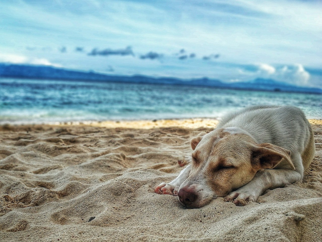 ?Music For Rest And Meditation V.5?Музыка для медитации?2023?