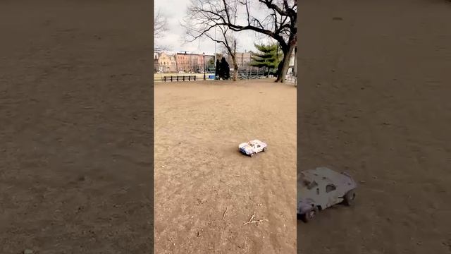 ? Пошаговое руководство, как вымотать корги