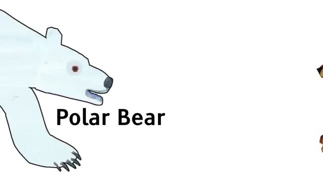 Brown Bear Polar Bear Panda Bear and Baby Bear What Do You SeeHear? 13 Minutes!  Animated Book