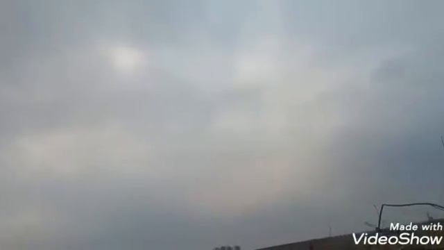 Уток гусей весна Охота что случилось?