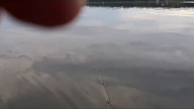 Рыбалка с уловом 🎣