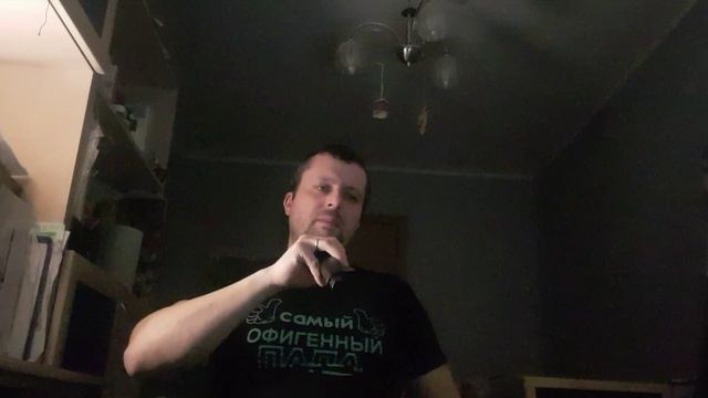 "Пиковая дама" (В.Добрынин) #караоке