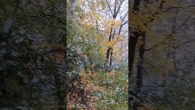 22.10.2023 год первый снег в Москве