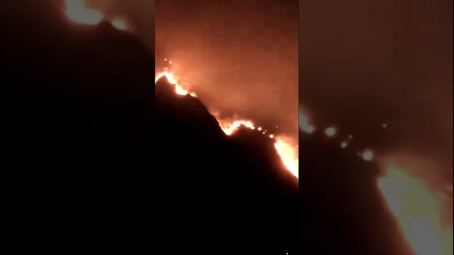 Сильнейший лесной пожар в Неаполе Италия