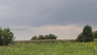 Лелеки кружляють неподалік і їх багато 😱