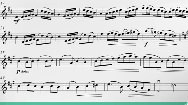 Oskar Rieding Violin Concerto D major, Op.36 Allegro moderato Trailer