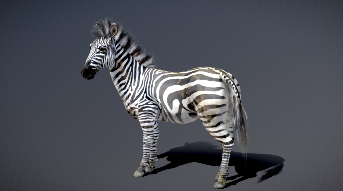 Plains Zebra в 3D от NestaEric