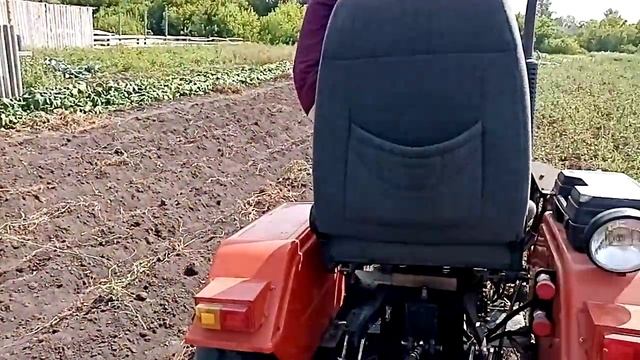 Минитрактором Уралец мастерски копаем картошку
