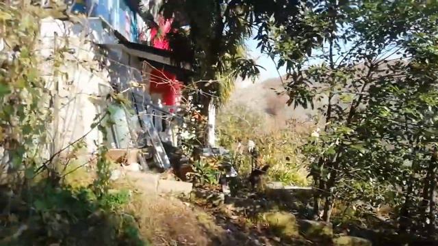 Участок 046. Богушевка СНТ Луч. 8,7 сот.