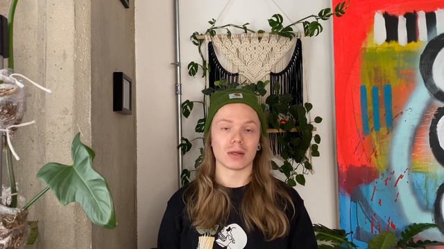 Tips For Beginner Houseplant Parents | What You Need To Know Before Buying Plants