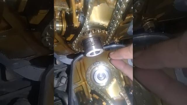 top timing chain grand vitara 2.0