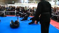 Япономания 20-21 октября 2012. Дни японской культуры. 19/19