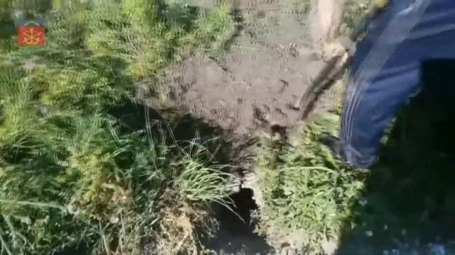 Охота на сурка-Marmot hunting